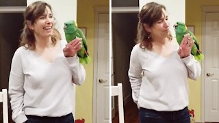 Extremely talented parrot shows off wide variety of talents