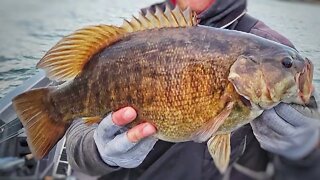 Fishing The LAND of GIANTS!! (SMALLMOUTH Edition)