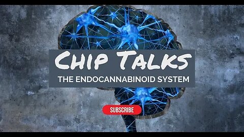 Chip Talks: The Endocannabinoids System