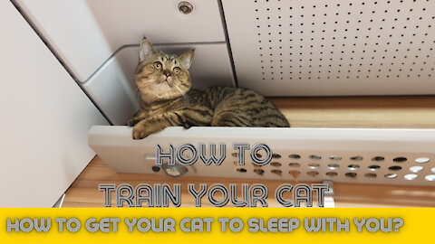 How to train your cat - Part 1 - Sleep