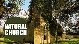 Incredible video of church which has been reclaimed by nature