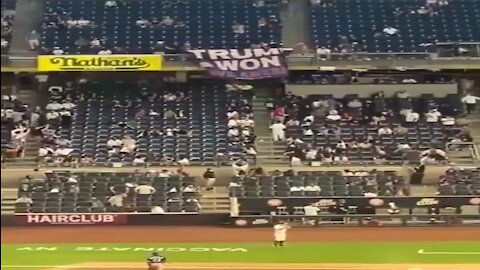 Yankee Fans Hold Up "Trump Won" Sign At Yankees Game