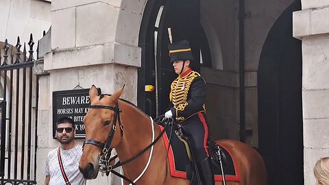 Another tourist touching the reins. it's not Disney land #horseguardsparade