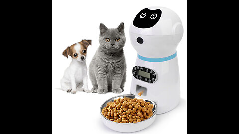 HoneyGuaridan Automatic Cat Feeder for Two Cats,3.5L Cat Food Dispenser with Slow Feeder Bowl,T...