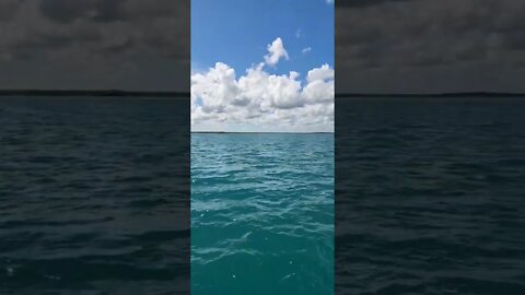 Bacalar Lagoon (7 Color Lagoon) - Part 2