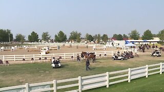 Arabian Sport Horse Championship kicks off in Nampa
