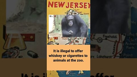 Dumb Laws in New Jersey