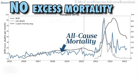 No Excess Deaths During Covid But an Explosion of it After the Covid "Vaccines"