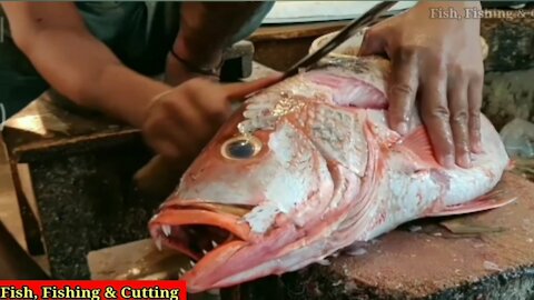 Red Big Fish Cutting In India | Fish Market | Fish Cutting | Cutting Skills | Fish Fishing & Cutting
