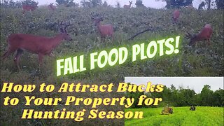 Planting Green into Summer Food Plots - Transforming a small farm to a hunting paradise