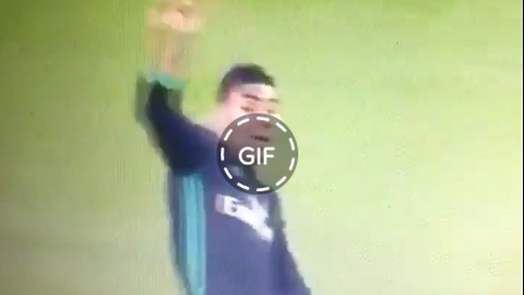 GIF.CASEMIRO