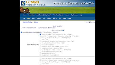 UCDavis genetic testing prep for Dexter Cattle