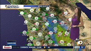 10News Pinpoint Weather with Meteorologist Megan Parry