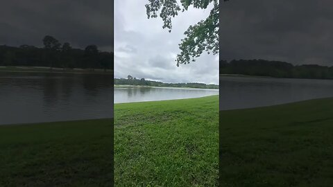 peaceful Kingwood Lake, Moment with Rock Mercury #naturemeditation