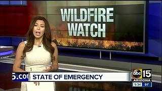 Arizona Gov. Doug Ducey seeking more wildfire funding