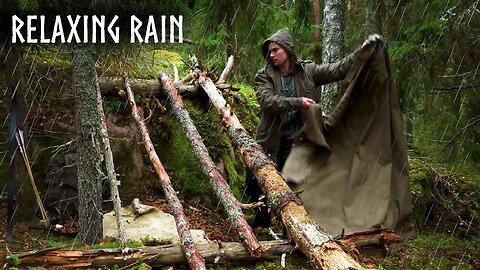 Camping in RELAXING RAIN🍂The Rainy Autumn Forest of Finland