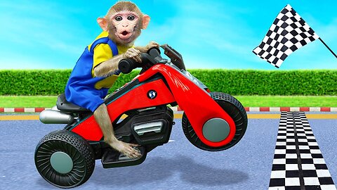 KiKi Monkey rides on Motor Bikes and swims in Four Colors pools with ducklings | KID ANIMAL