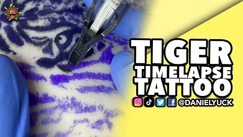 Tiger Timelapse Tattoo