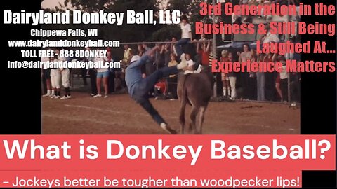 What is Donkey Baseball?