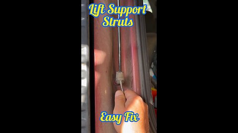 Rear Window Hydraulic/Strut Replacement