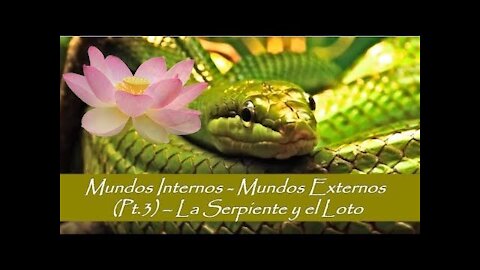 Mundos Interiores Mundos Exteriores - La Serpiente y el Loto