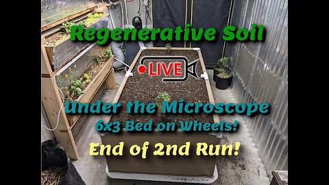 Regenerative Soil Microscopy LIVE on Indoor Bed end of 2nd Run!