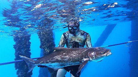 Spearfishing Offshore Oil Rigs GIANT Cobia on Polespear! CATCH CLEAN COOK! Gulf of Mexico 2022