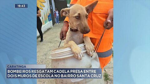 Caratinga: Bombeiros Resgatam Cadela Presa entre Dois Muros de Escola no Bairro Santa Cruz.