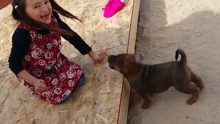 Tasha Plays with a Puppy