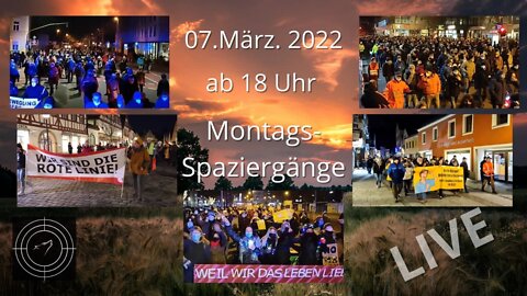 RESTREAM I Montagsspaziergänge: Tübingen, Bamberg, Paderborn, Detmold, Haiger, Freising - 07.03.2022