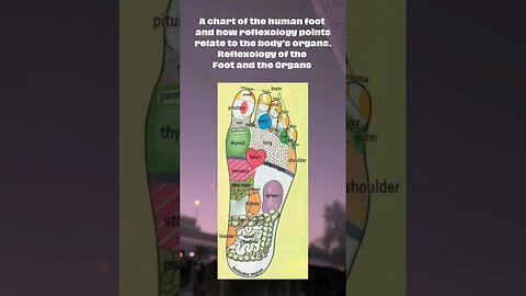 Chart of Human Foot Points to Body’s Organs