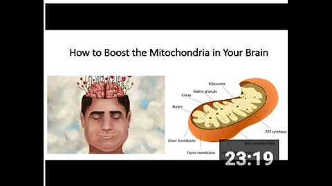 How to boost your Mitochondria, Physical Fitness, Energy & Brain Power