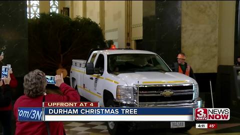 Durham Christmas tree makes it way to museum