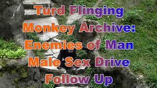 6. Turd Flinging Monkey Enemies of Man Male Sex Drive Follow Up (Mirror)
