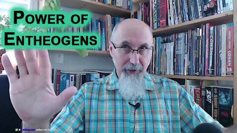 The Power of Salvia Divinorum & Other Entheogens, a Perspective on Life & Society worth Having