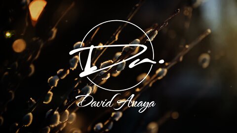 David Anaya - Nostalgy | Orchestral Music