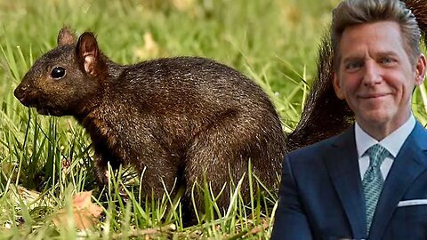 L. Ron Hubbard Said David Miscavige Is A Squirrel