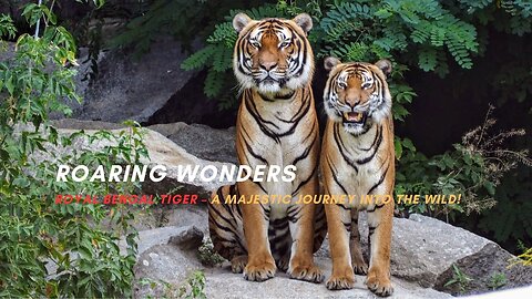 Roaring Wonders: Royal Bengal Tiger – A Majestic Journey into the Wild!