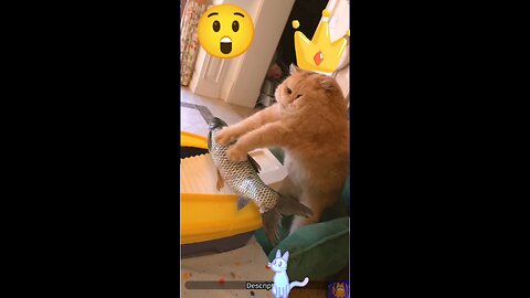 Cat cooking fish 😋🔪