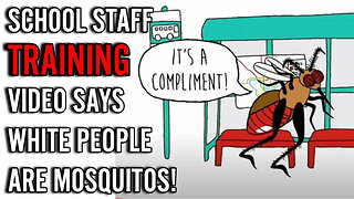 INSANE staff training video teaches that MICROAGGRESSIONS from white people are like mosquito bites!