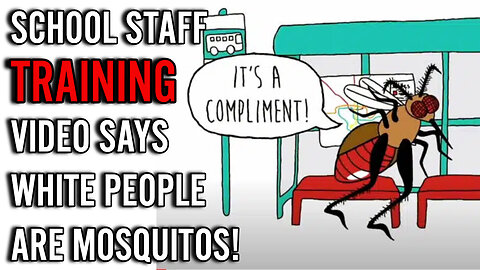 INSANE staff training video teaches that MICROAGGRESSIONS from white people are like mosquito bites!