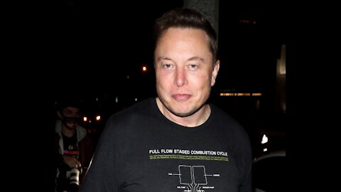 Musk Mocks Elizabeth Warren: 'Don't Call the Manager on Me, Sen. Karen'