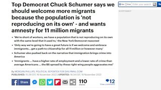 Schumer calls for amnesty and citizenship for 11 million illegals this is bribery