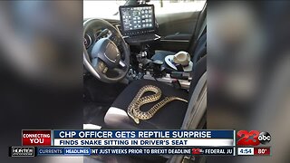Check This Out: California Highway Patrol Officer finds snake in his car