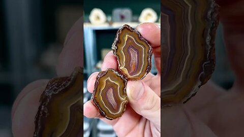 5 agates cut open!