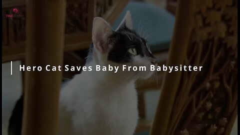 Scary Cat Saves Baby From This Babysitter