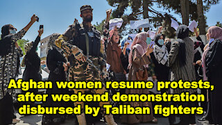 Afghan women resume protests, after weekend demonstration disbursed by Taliban - Just the News Now