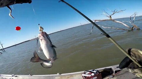 Cold weather catfishing with bobbers and bacon