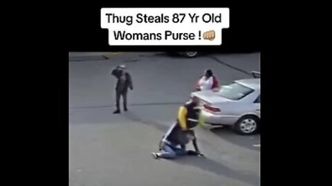 FAFO: Thug Tries To Steal 87y/o Woman’s Purse In A Small Town, Hero To The Rescue