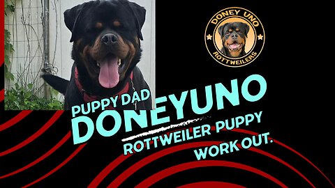 doneyuno rotties